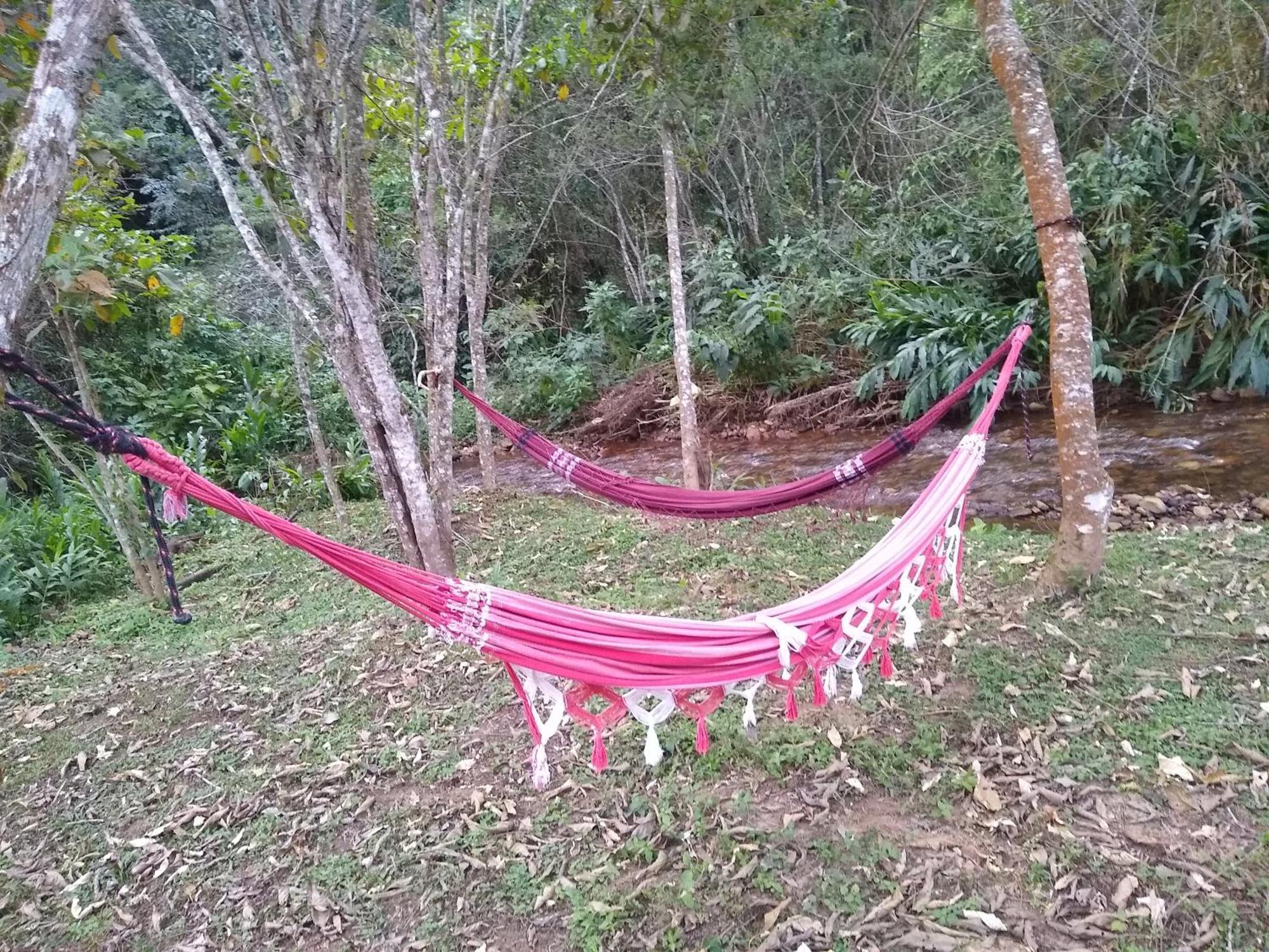 Villa Das Palmeiras Chales & Camping São Bento do Sapucaí Eksteriør billede